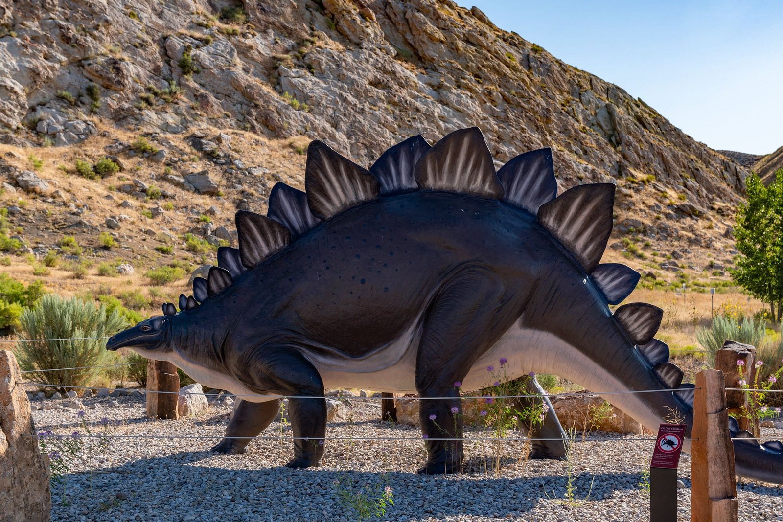 Dinosaur National Monument - Travelhyme